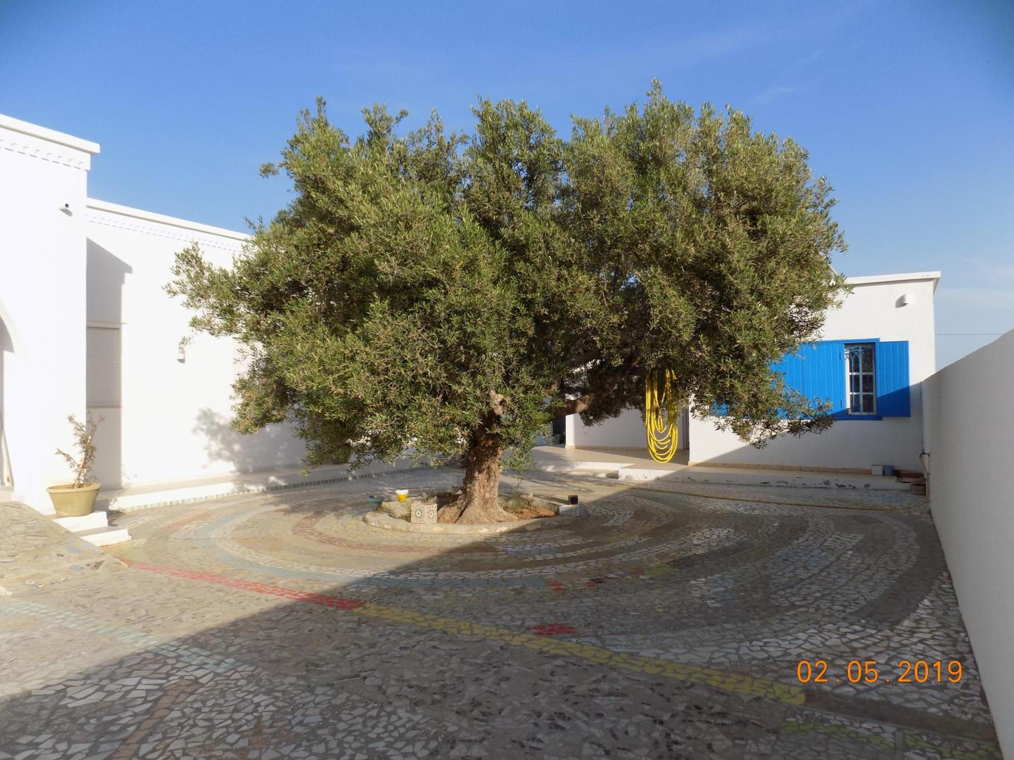 Dar Mamina Bed and Breakfast Sidi ash Shammakh Εξωτερικό φωτογραφία