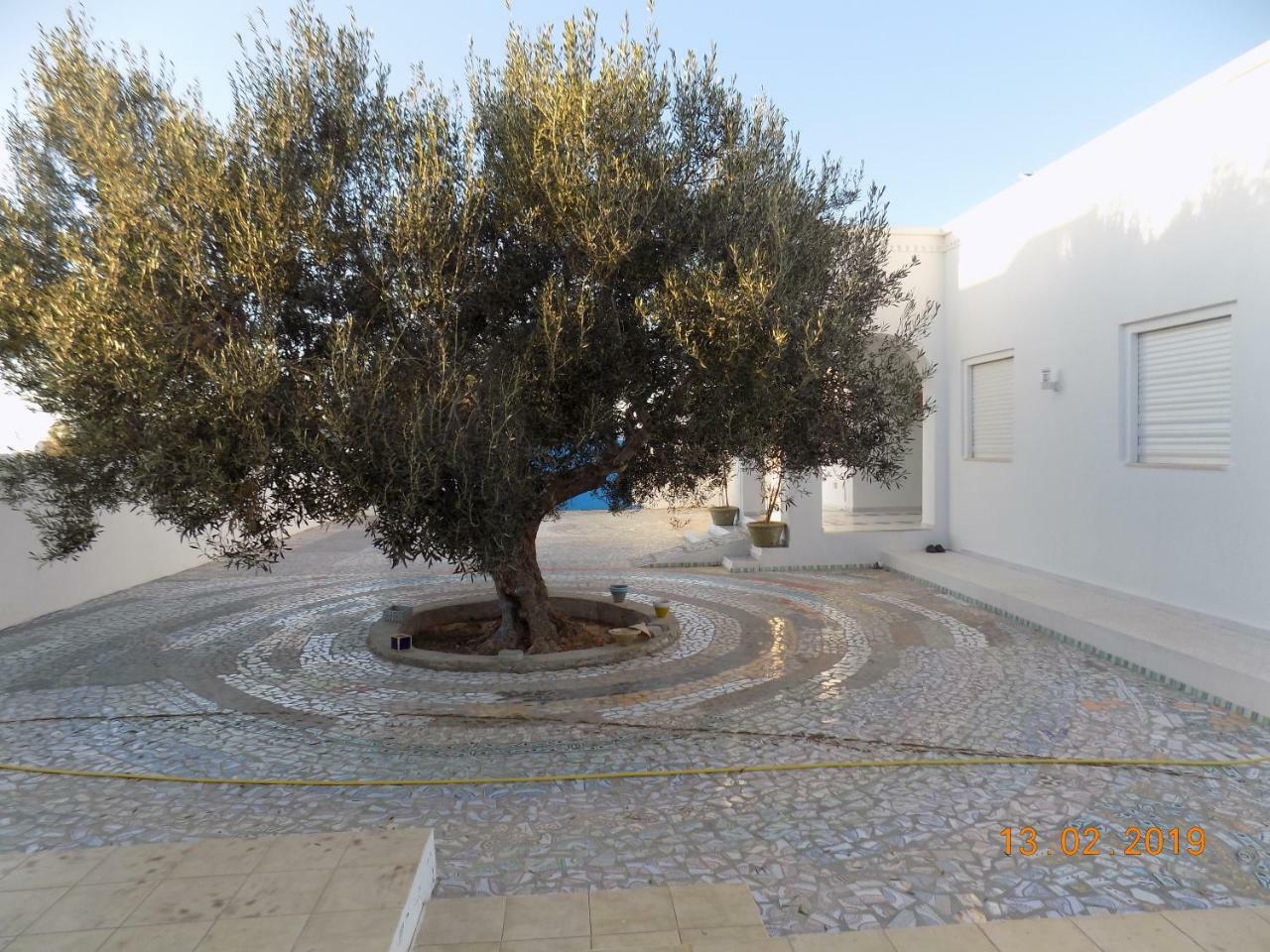 Dar Mamina Bed and Breakfast Sidi ash Shammakh Εξωτερικό φωτογραφία