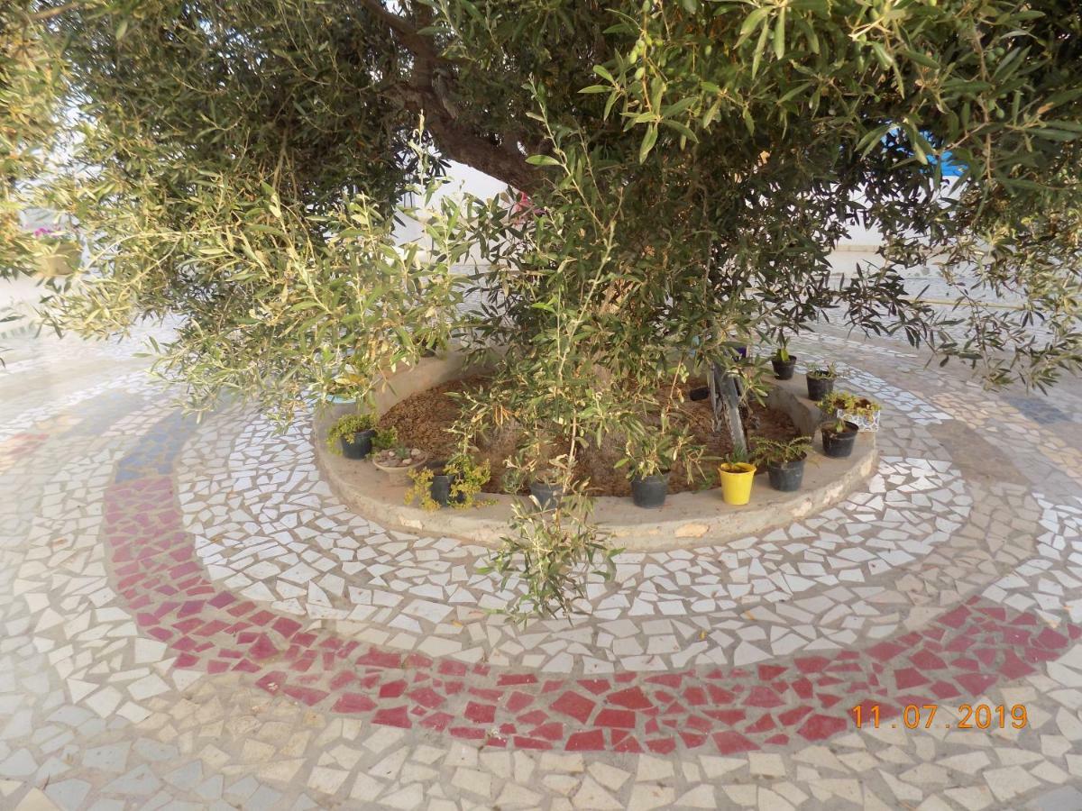 Dar Mamina Bed and Breakfast Sidi ash Shammakh Εξωτερικό φωτογραφία